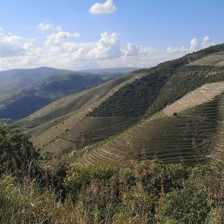 Douro Valley - Casa Da Praca Ervedosa do Douro Buitenkant foto