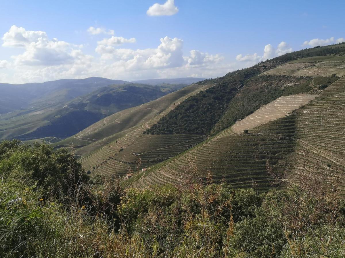 Douro Valley - Casa Da Praca Ervedosa do Douro Buitenkant foto